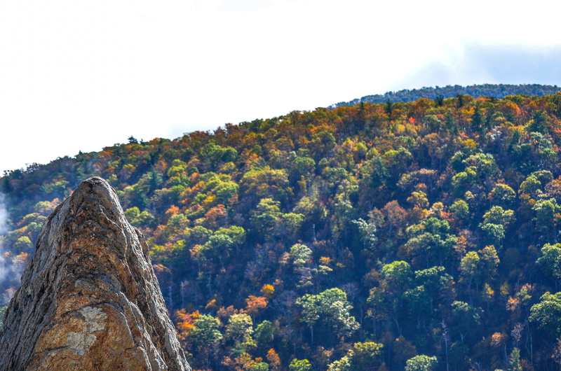 architecture, the past, shenandoah, rock, scenics - nature, growth, idyllic, tranquil scene, tree, 4K, built structure, beauty in nature, day, forest