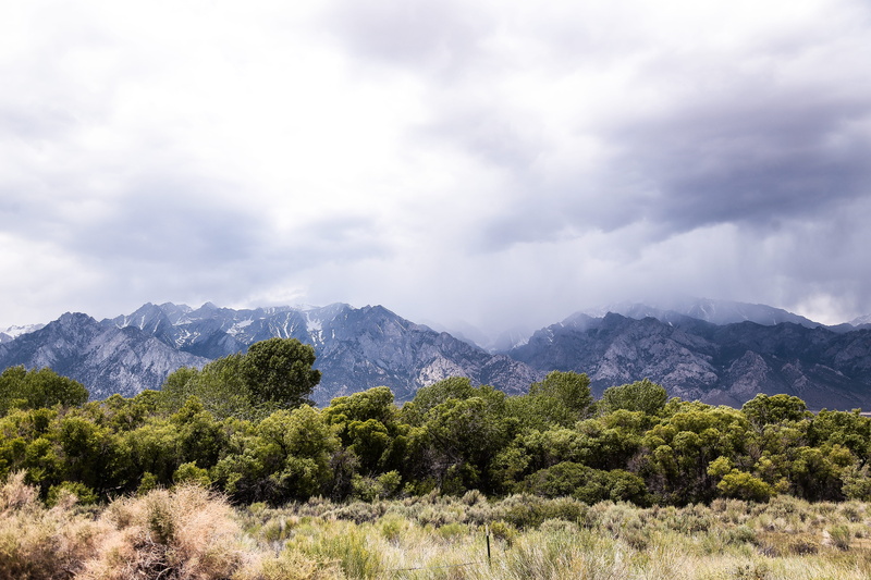 sierras, growth, desert, landscape, mountain range, mountain, alabama hills, 5K, mountains, plant, tranquility, trees, cloud - sky, day, california, tranquil scene