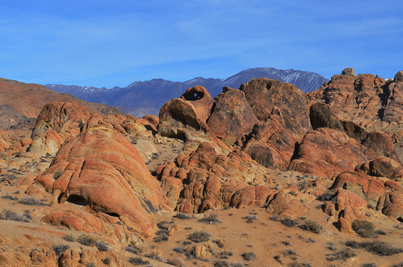 arid climate, tranquil scene, desert, geology, eroded, sandstone, outdoors, scenics - nature, land, physical geography, no people, rock, Landscape, Pine