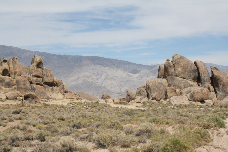 eroded, plant, rock, tranquil scene, non-urban scene, california, arid climate, climate, scenics - nature, beauty in nature, environment, usa, sky, formation