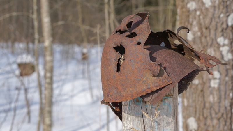5K, protection, run-down, army, gear, close-up, shape, focus on foreground, war, history, team, decline, old, soldier, winter, nature, tree, ammunition