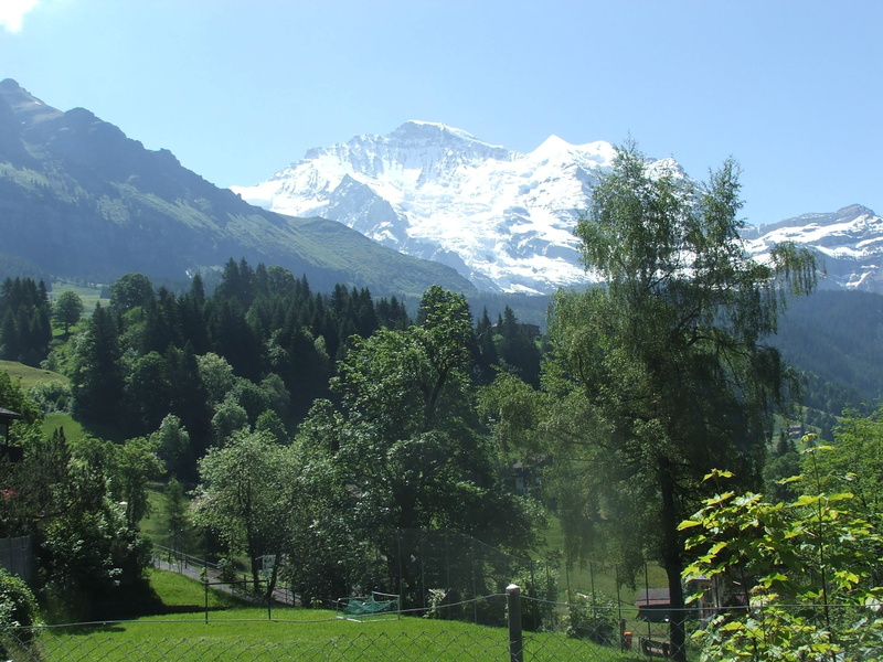 tranquility, snowcapped mountain, switzerland, day, plant, no people, wengen, growth, jungfrau, scenics - nature, scenics, mountain range, idyllic, summer