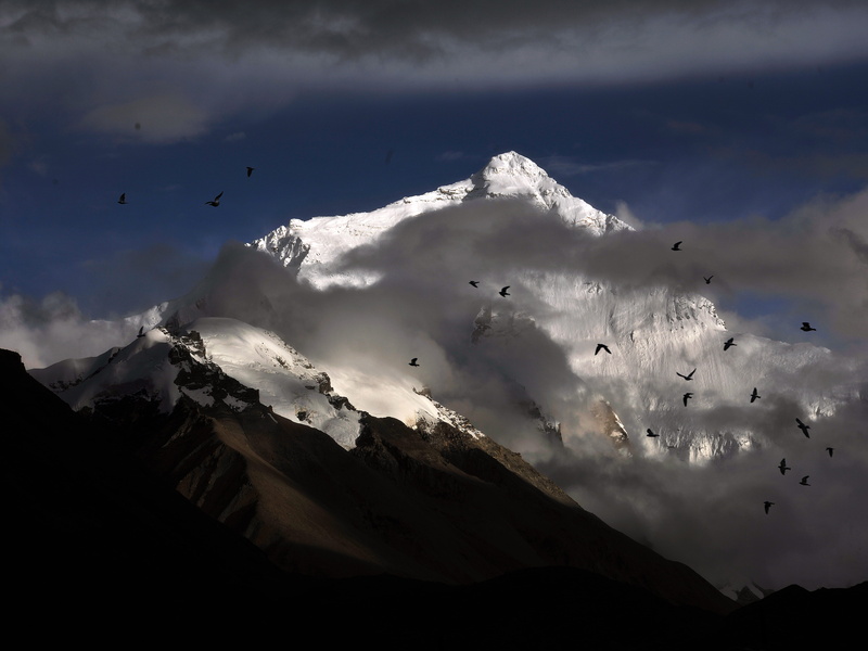 cloudscape, bird, nature, animal, snowcapped mountain, 5K, scenics, landscape, mountain, non-urban scene, outdoors, no people, himalayas, sky, clouds