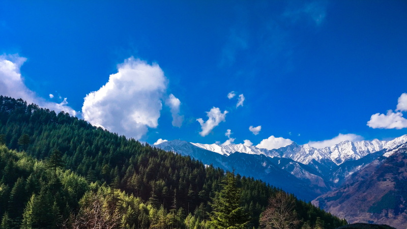 manali, plant, landscape, tranquility, tranquil scene, blue, non-urban scene, beauty in nature, mountain, forest, day, cloud - sky, idyllic, nature, coniferous tree