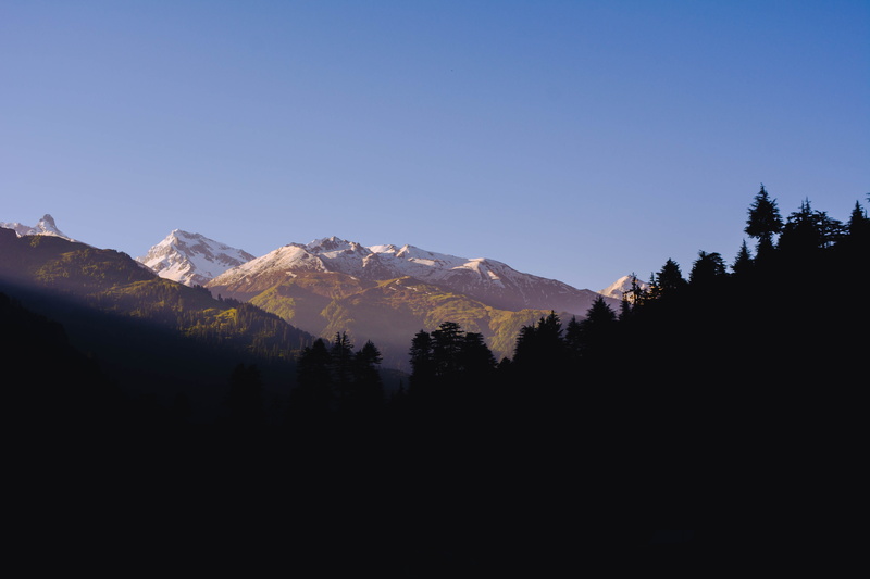 forest, clean, india, tranquil scene, tranquility, pine tree, sky, land, old manali, mountain range, copy space, manali, non-urban scene, tree, trees, mountain peak