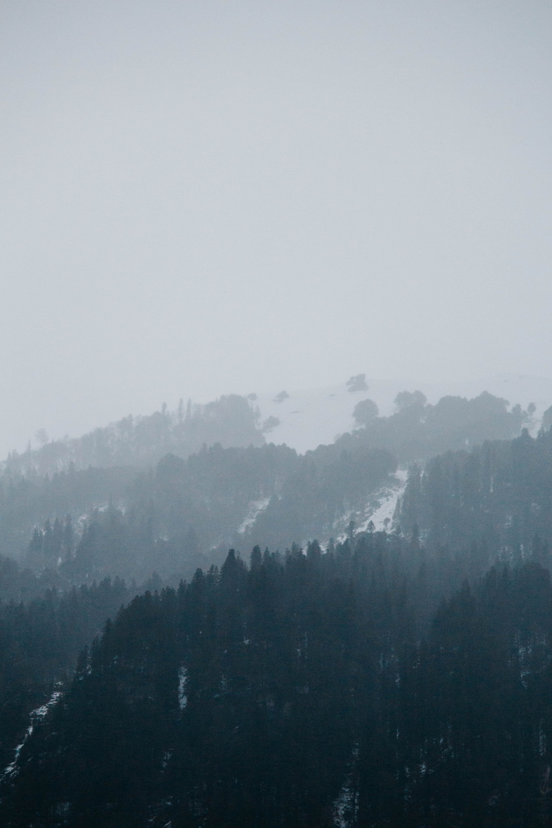 manali, fog, pine, metropolis, pollution, abies, mountains, mountain range, mountain, summit, environment, city, beauty in nature, landscape, tree, mystery