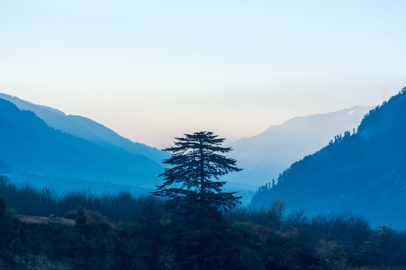 rise, mountains, growth, landscape, trekking, quiet, idyllic, chill, travel, manali, tourist, plant, traveller, mountainside, blue, no people, scenics - nature