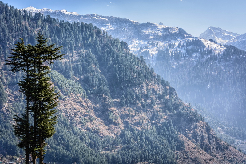 mountains, pinaceae, travel, sky, mountain top, scenics, top, snowcapped mountain, forest, aerial, pine tree, cool, outdoor, no people, trek, trees, scenics - nature