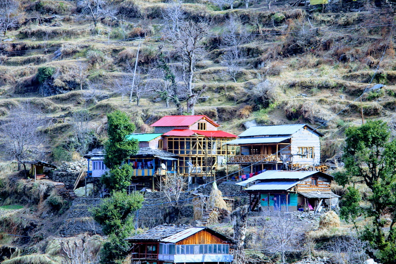 plant, growth, 4K, built structure, manali, nature, high angle view, house, mode of transportation, roof, forest, day, gazebo, manail, building exterior