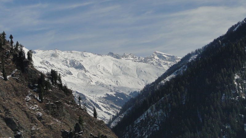 tree, snow, range, place, landscape, outdoors, nature, scenics - nature, environment, mountain range, no people, mountain, mountaineerz, cold temperature