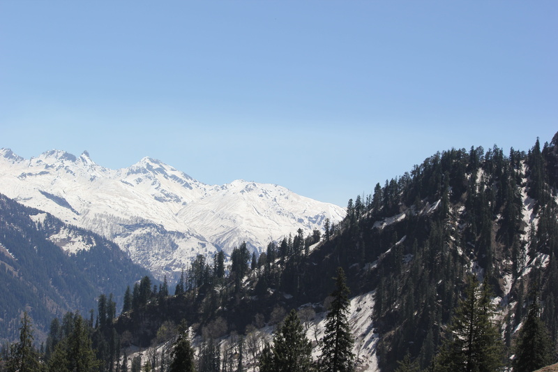 snow, manali, no people, coniferous tree, pine tree, day, hills, mountain range, clear sky, mountain peak, blue, tree, tranquil scene, snowcapped mountain