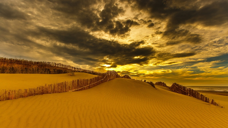 plants, 1080P, nature, tranquil scene, Taiwan, clouds, water, dune, sand, land, orange color, Sun, desert, environment, sunset, beauty in nature, landscape