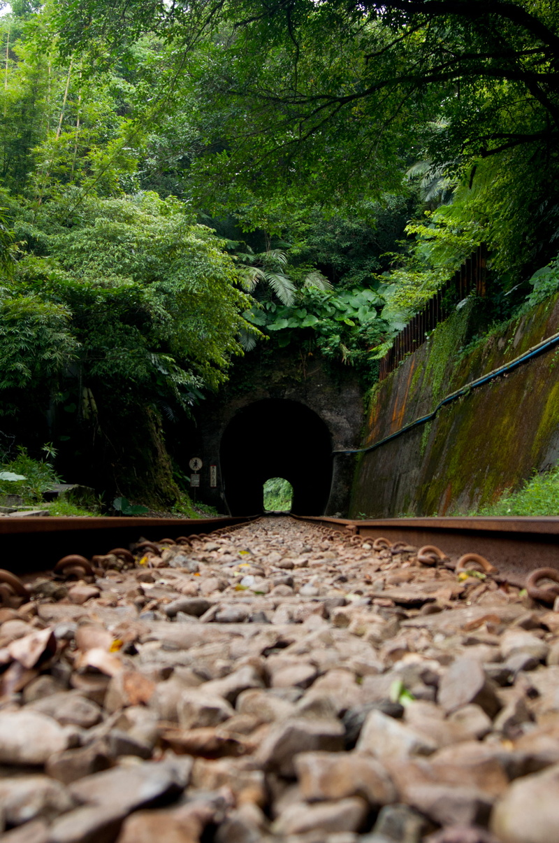 connection, growth, tunnel, outdoors, surface level, taiwan, the way forward, railroad track, jiufen old street, architecture, plant, day, green color