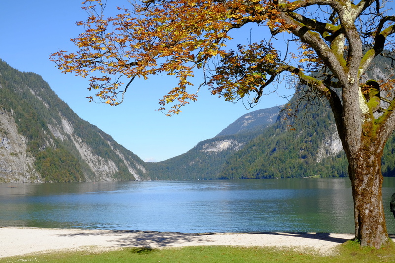 nature, sky, non-urban scene, scenics - nature, branch, water, königssee, land, germany, berchtesgaden, tree trunk, mountain range, outdoors, bavaria, growth