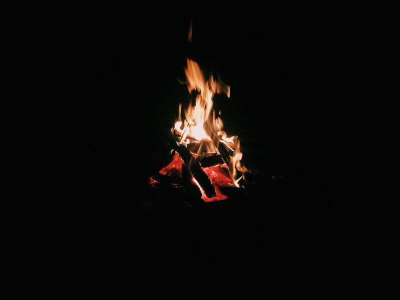 glowing, bonfire, nature, burning, fire, log, wood, firewood, 2K, wood - material, no people, fire - natural phenomenon, orange color, heat - temperature