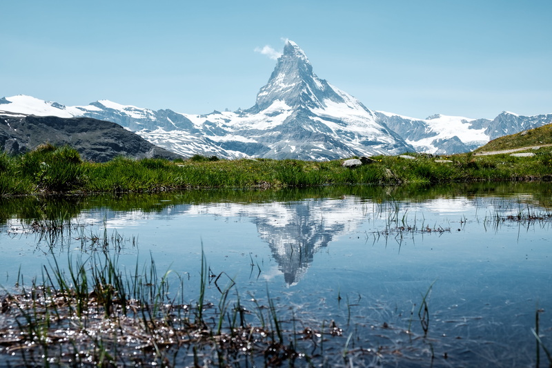 cold temperature, reflection, tranquil scene, plant, tranquility, outdoors, beauty in nature, waterfront, snow, lake, matterhorn, switzerland, water, scenery