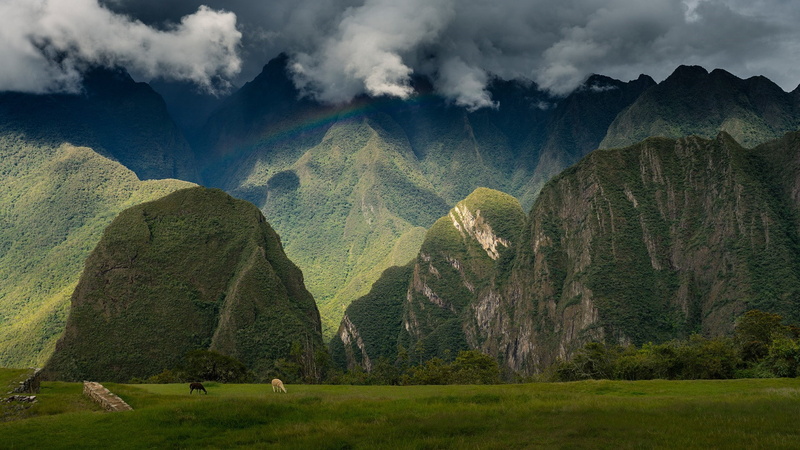 Inca citadel, forest, tranquility, no people, Andes, Sky, outdoors, scenics - nature, cloud - sky, beauty in nature, mountain range, Machu picchu, field