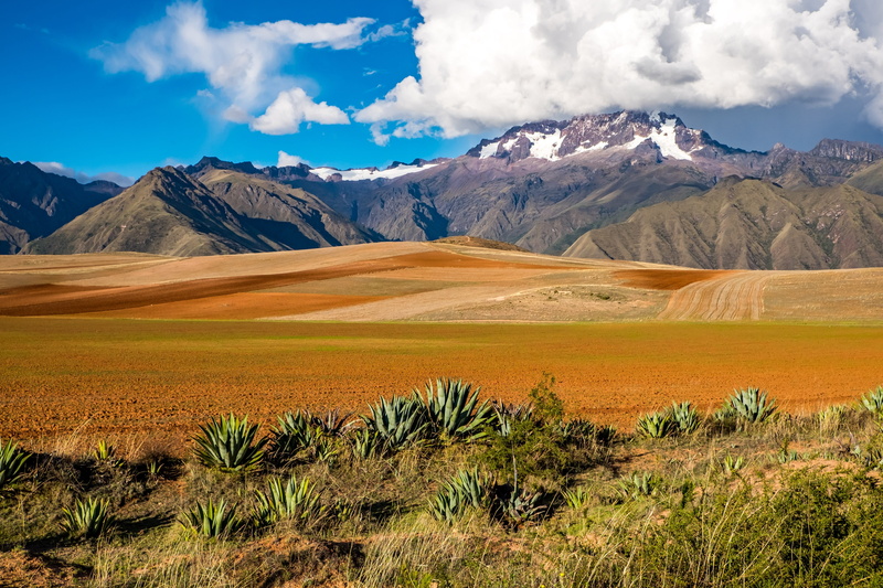 scenics - nature, green, cloud - sky, no people, field, idyllic, chiqun, plant, 4K, non-urban scene, remote, cusco, landscape, beauty in nature, land