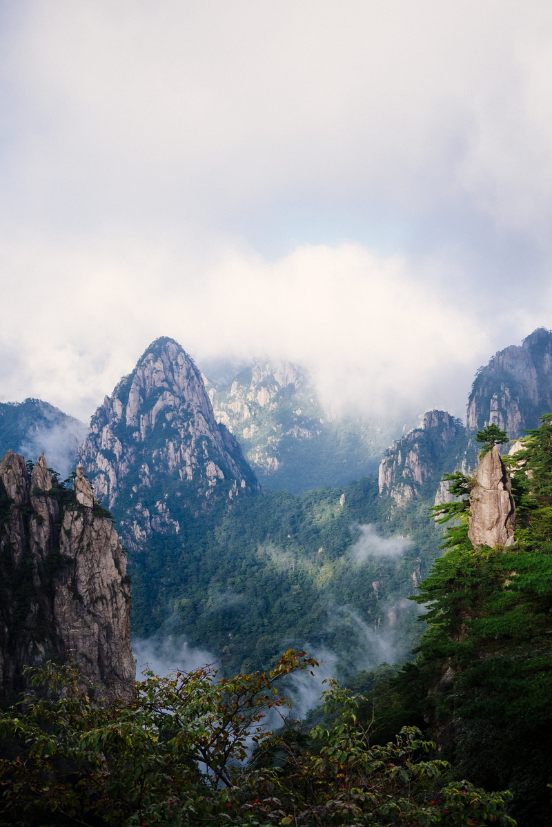 mountain peak, mountain, zhenjiang, beauty in nature, fog, travel destinations, sky, pine woodland, environment, huangshan mountain, tranquility, pine tree