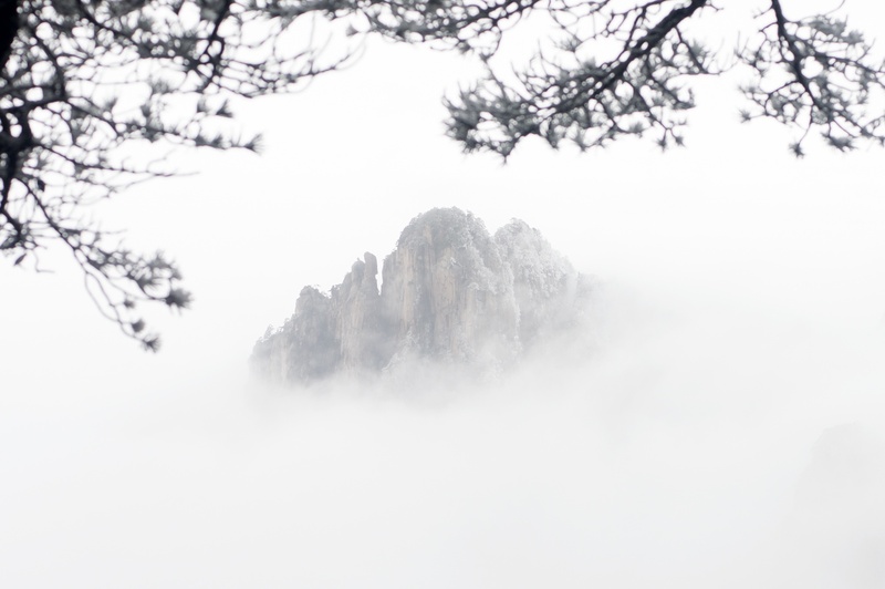 no people, non-urban scene, scenics - nature, cold temperature, day, winter, forest, tranquility, a surname mist, environment, snow, fog, nature, mountain