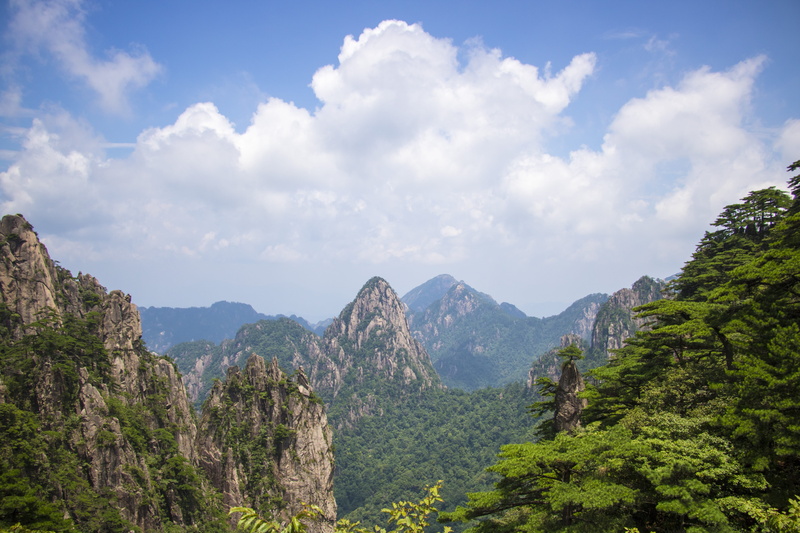 day, growth, formation, anhui, plant, green color, nature, beauty in nature, scenics - nature, mountain range, outdoors, mountain peak, cloud - sky, mountain