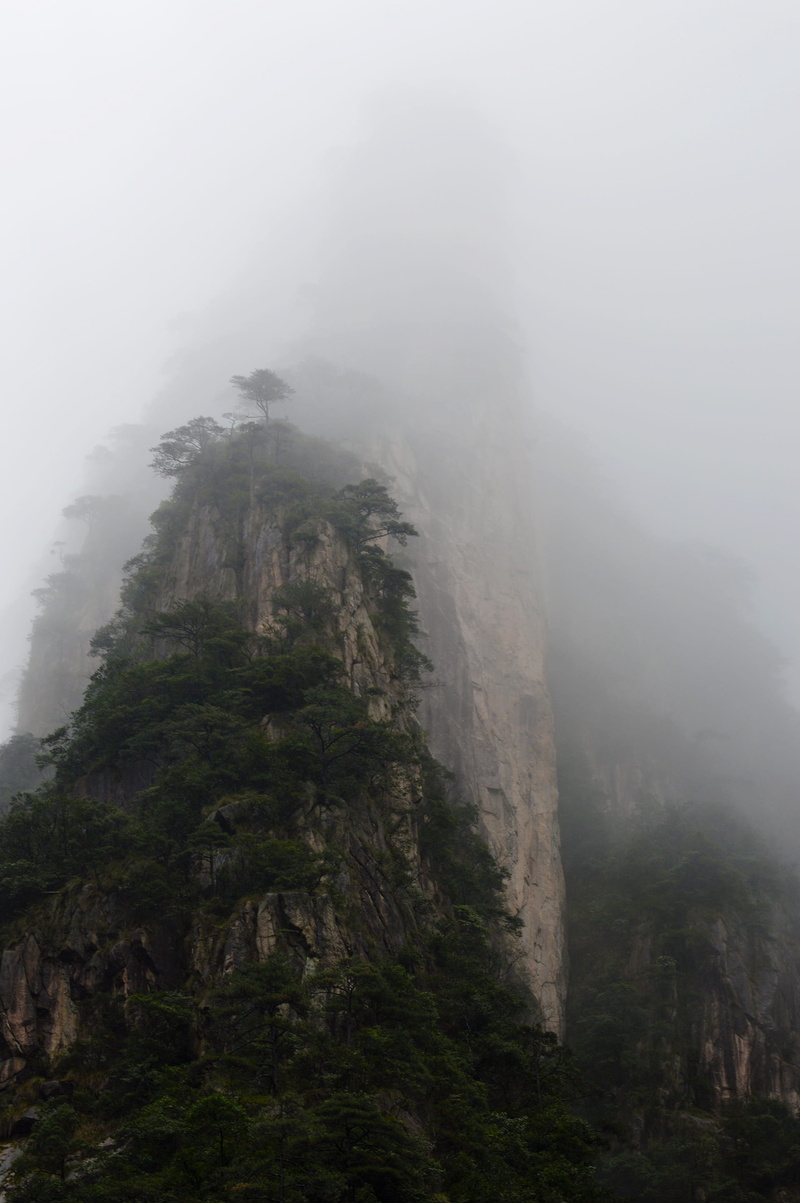 plant, non-urban scene, a surname mist, tree, foggy road, Winter, beauty in nature, cliff, mountain, land, scenics - nature, day, Mist, Huangshan, Surname
