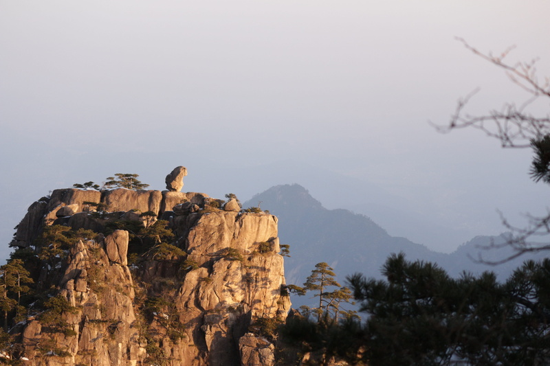 monkey view of the sea, tranquility, solid, nature, plant, outdoor, tourism, no people, non-urban scene, environment, mountain, sky, 5K, vertebrate, rock - object