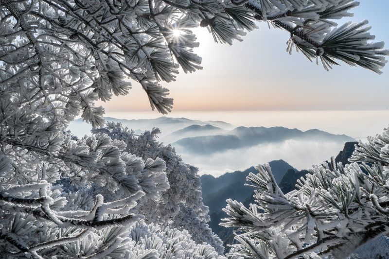 China, tranquil scene, 1080P, leafed, Huangshan Mountains, Huangshan Mountain, beauty in nature, nature, mountains, idyllic, no people, branches, white
