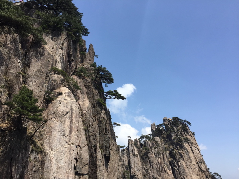 White Cloud, Pine, Pine, mountain, tranquility, day, rocky mountains, formation, outdoors, scenics - nature, 2K, geology, plant, rock, mountain peak, nature