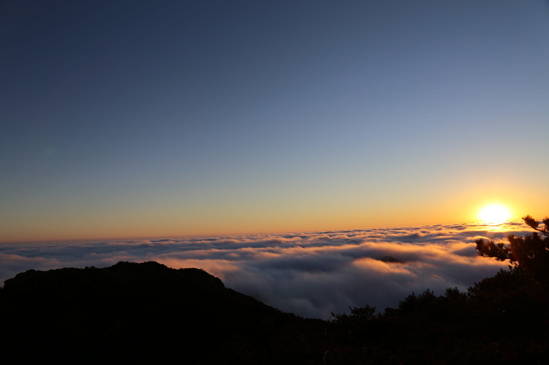 plant, silhouette, orange color, Anhui, mountain huangshan, Mountain, tree, Huangshan, sun, no people, China, beauty in nature, tranquility, sky, landscape