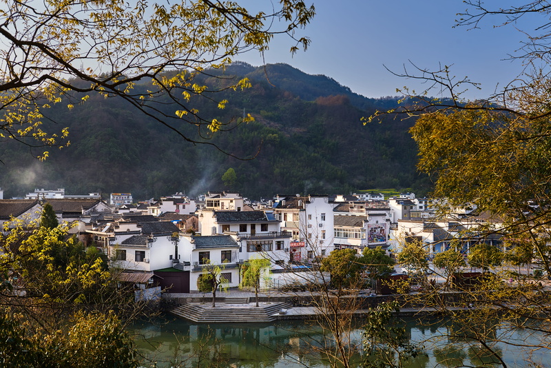 autumn, town, townscape, tree, building, city, land, built structure, building exterior, outdoors, no people, architecture, house, residential district
