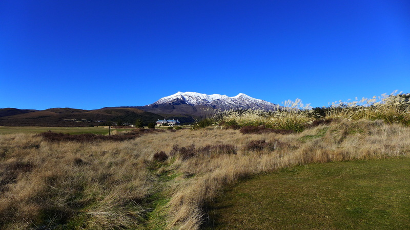 whakapapa, non-urban scene, snowcapped mountain, mountain range, ruapehu, beauty in nature, grass, scenics - nature, snow, volcano, plant, tranquility