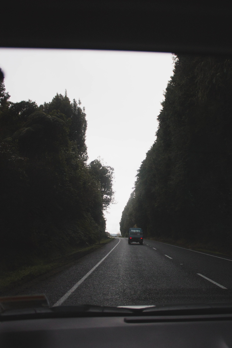 tree, plant, windshield, no people, road trip, transparent, mt ruapehu, sky, trees, on the move, car point of view, new zealand, mode of transportation