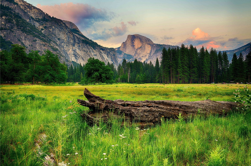 landscape, trunk, field, mountains, green, 5K, trees, lying, tree, yosemite, half dome, brown, grass