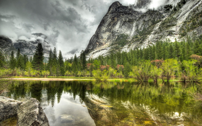 trees, grass, water, field, tranquility, beauty in nature, pine woodland, tree, forest, 2K, scenics - nature, Half Dome, stones, pine tree, mountain, reflection