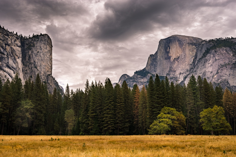 national, pine, outdoors, overcast, sky, cloud, environment, park, non-urban scene, pine woodland, forest, formation, yosemite, storm, tranquil scene, weather