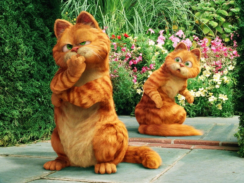 720P, garfield