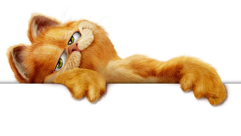 1080P, garfield