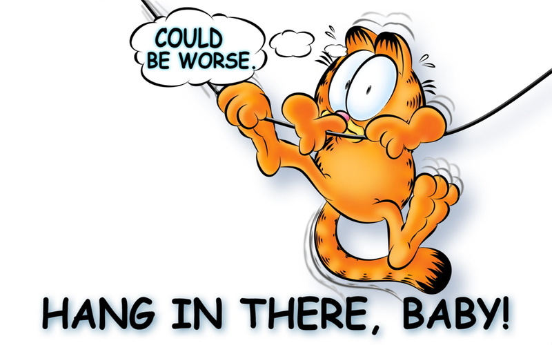 1080P, garfield  hd, garfield screensaver, garfield, garfield computer