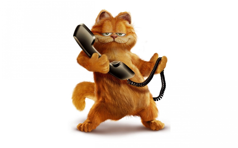 phone, cartoon, garfield, 720P, cat