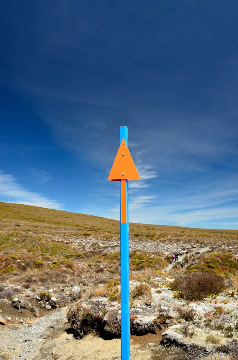 blue, grass, day, trail, 4K, road Sign, manawatu-wanganui, warning Sign, arrow, aotearoa, tranquil scene, environment, no People, scenics - nature, remote