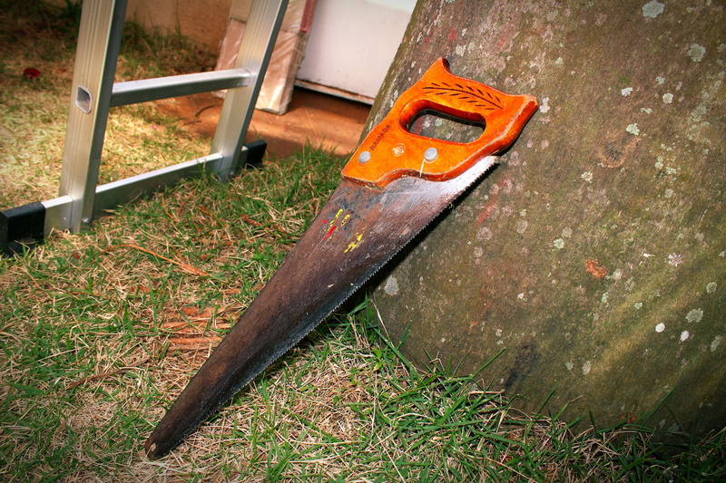 rusty, hand saw, lucas soares, wood, deterioration, decline, work tool, high angle view, metal, outdoors, obsolete, hand tool, damaged, abandoned, run-down