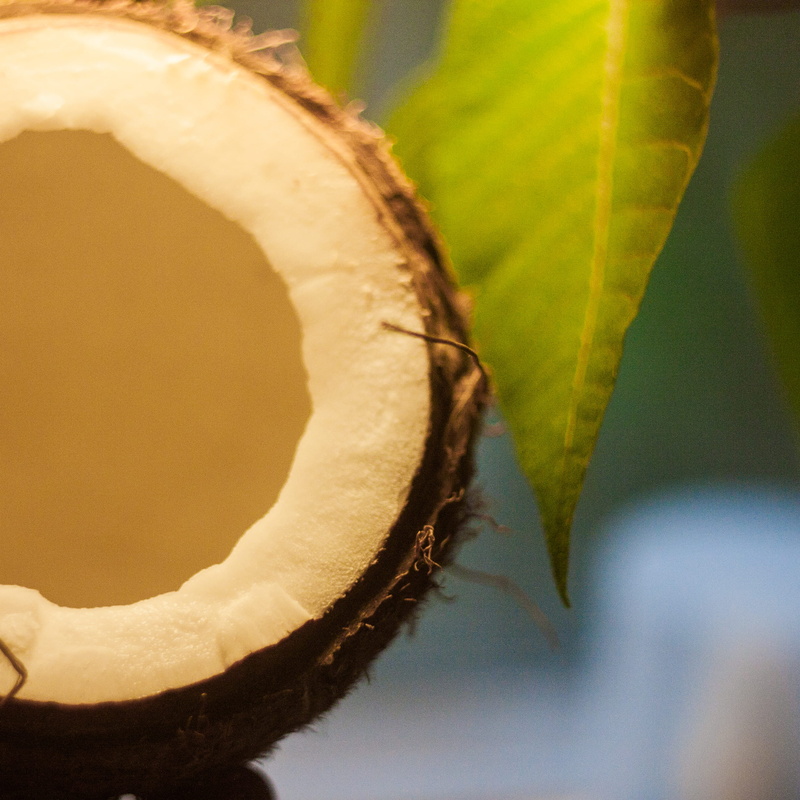 freshness, food and drink, hacksaw, corn, no people, day, 2K, powder, fruit, healthy eating, nut, food, bird, peanut, nature, beauty in nature, growth