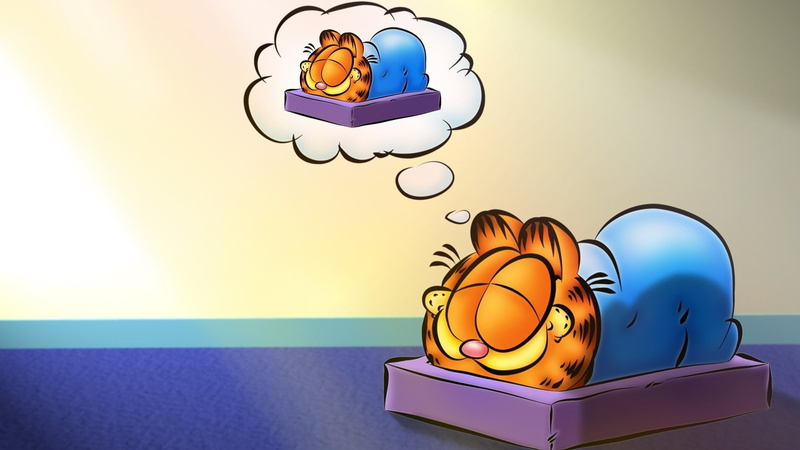 cartoon/comic, garfield, cat, sleep, 1080P, hd