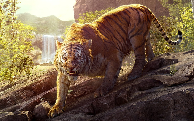 vertebrate, nature, one animal, day, animals in the wild, big cat, animal, brown, animal themes, 720P, feline, no people, khan, zoo, cat, tree, Movies