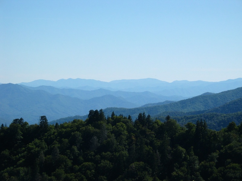 tranquil scene, photo, 1080P, idyllic, copy space, tennessee, tranquility, smoky mountains, plant, land, sky, environment, scenics - nature, tree, no people