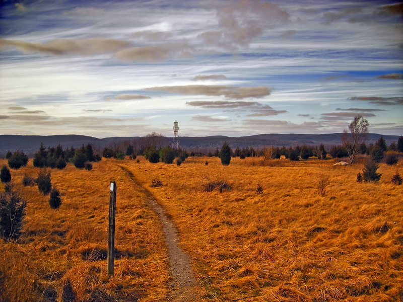 New Jersey, low light, hiking, Vernon Valley, tree, Long Walk, nature, trees, blue sky, clouds, rural, Sussex County, sunset, Appalachian Trail, green