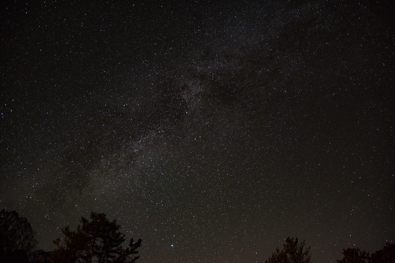 5K, star, angle, outer space, dot, tree, plant, night sky, scenics - nature, no people, photography, star field, beauty in nature, sky, space, stars, universe