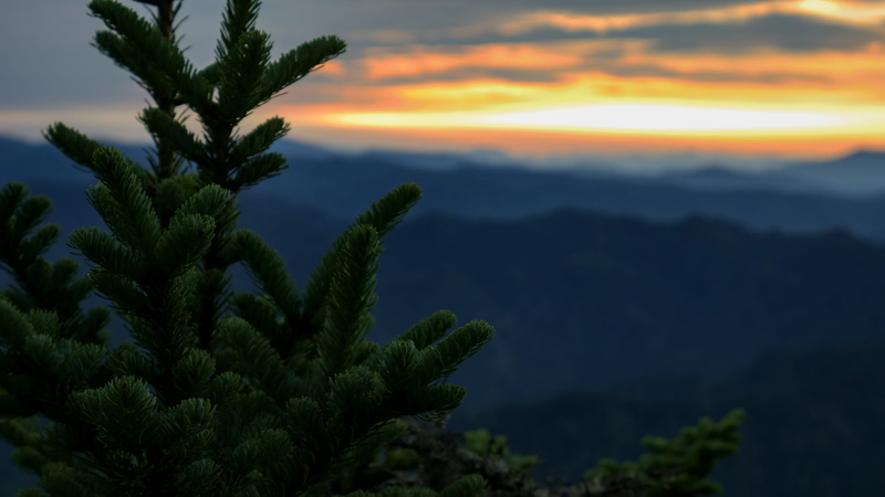 idyllic, sky, environment, nature, outdoors, smokies, sunrise, mountain, tranquil scene, cloud - sky, 4K, appalachian, growth, morning, plant, mountains