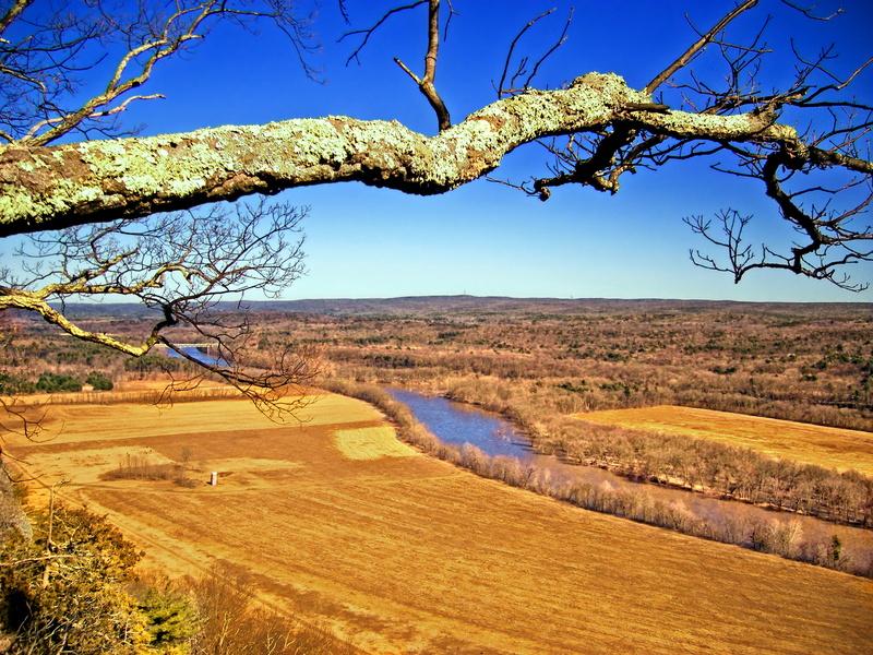 rural Scene, hiking, scenics, hay, nature, rural, tree, water, brown, photo, bright light, agriculture, outdoors, field, 2K, in between, body of water
